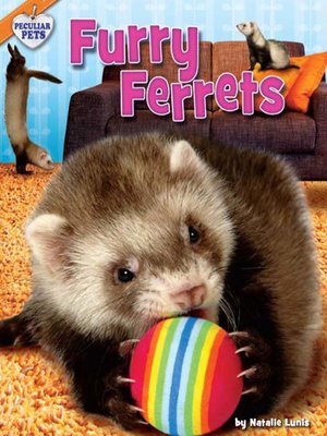 cover image of Furry Ferrets